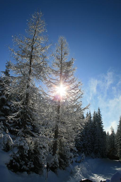 Vitalhotel Heilbrunn Bad Mitterndorf Luaran gambar